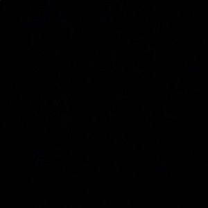 Meet your Posher, Sean